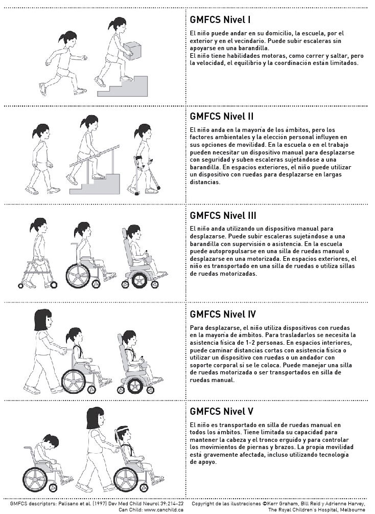 Clasificación GMFCS de los tipos de parálisis cerebral